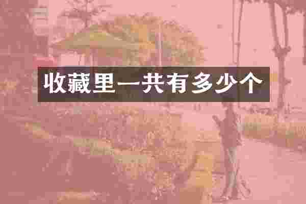 收藏里一共有多少个