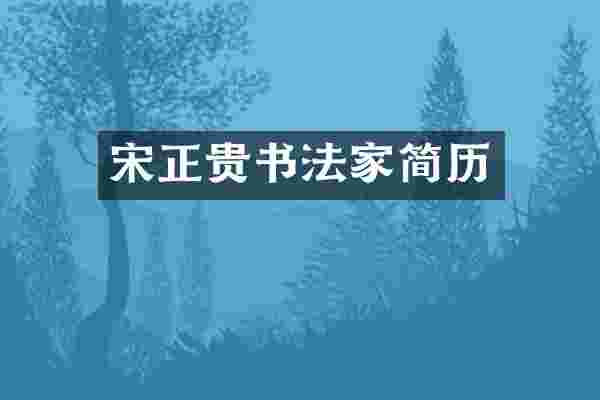 宋正贵书法家简历
