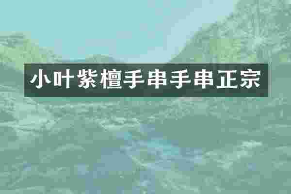 小叶紫檀手串手串正宗