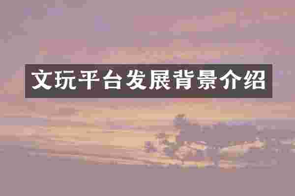文玩平台发展背景介绍