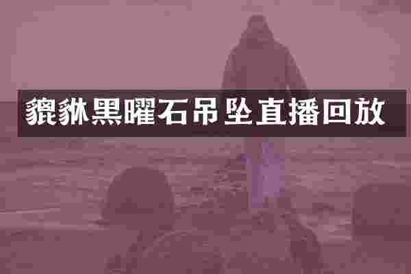 貔貅黑曜石吊坠直播回放