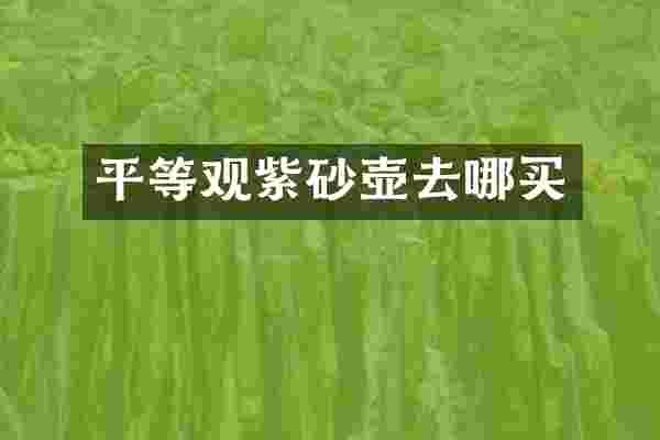 平等观紫砂壶去哪买