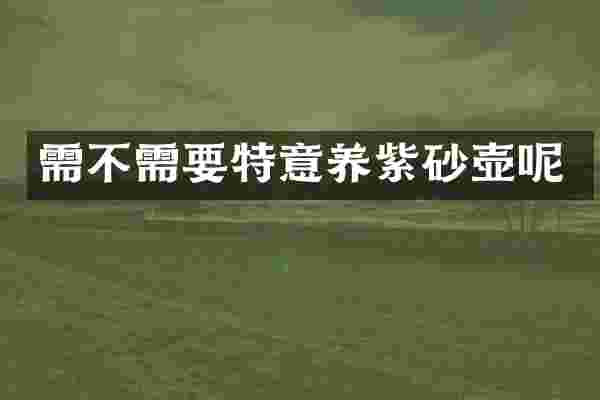 需不需要特意养紫砂壶呢
