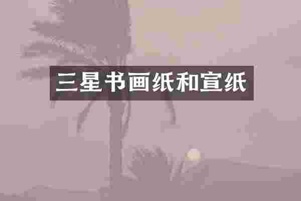 三星书画纸和宣纸