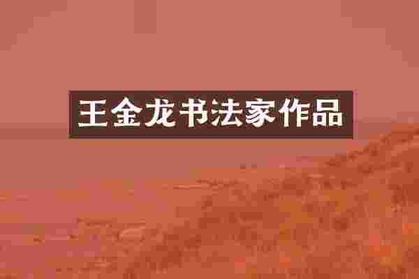 王金龙书法家作品