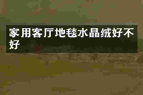 家用客厅地毯水晶绒好不好