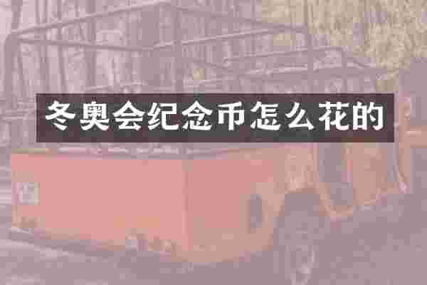 冬奥会纪念币怎么花的
