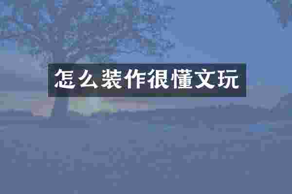 怎么装作很懂文玩