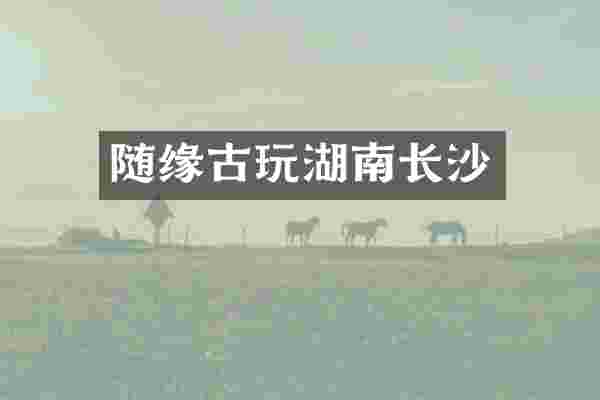 随缘古玩湖南长沙