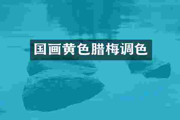 国画黄色腊梅调色