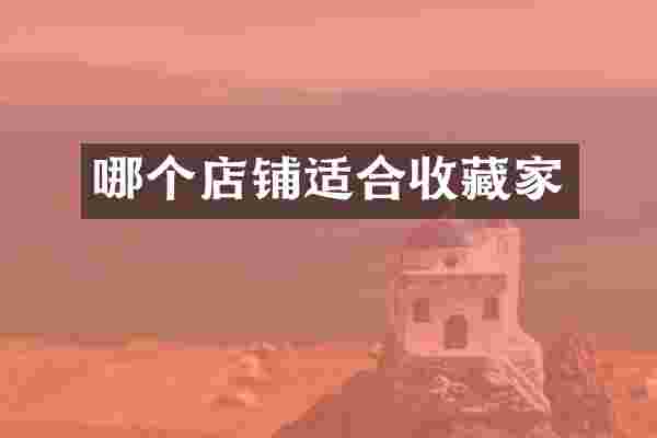 哪个店铺适合收藏家