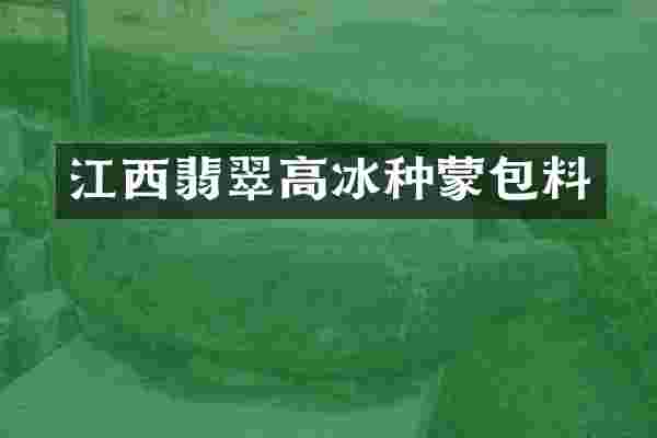 江西翡翠高冰种蒙包料