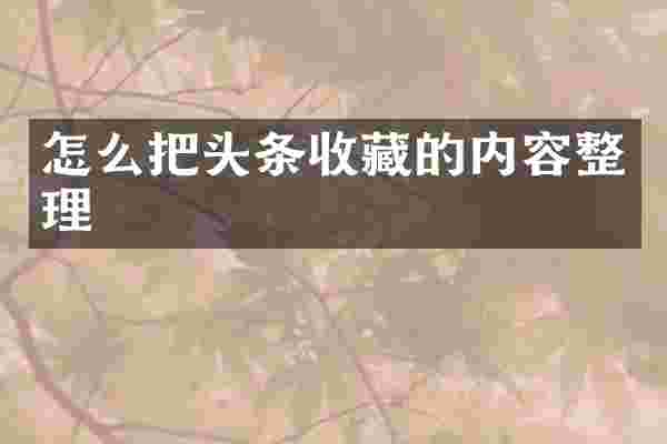 怎么把头条收藏的内容整理