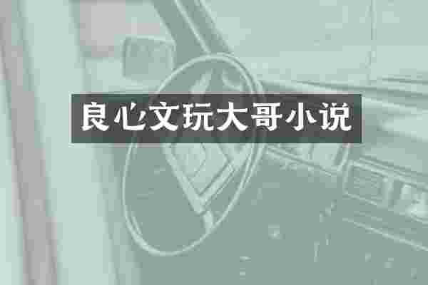 良心文玩大哥小说