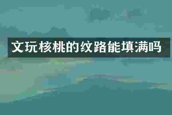 文玩核桃的纹路能填满吗