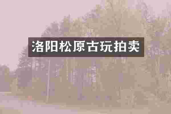 洛阳松原古玩拍卖