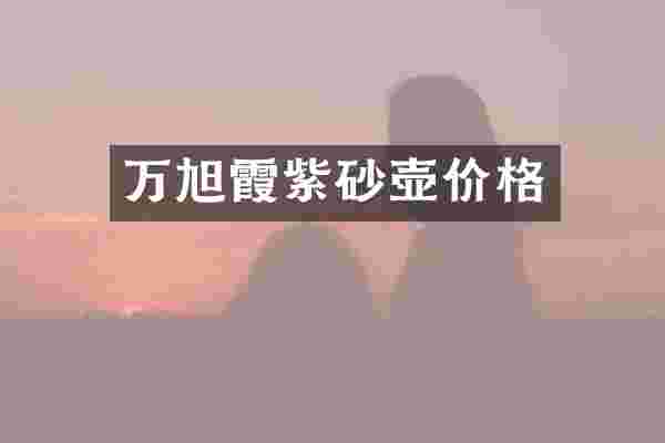 万旭霞紫砂壶价格