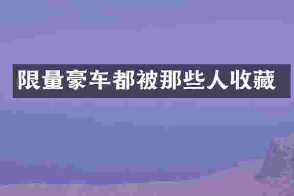 限量豪车都被那些人收藏
