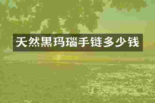 天然黑玛瑙手链多少钱