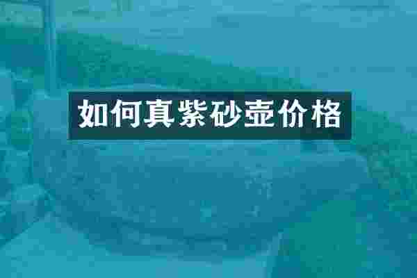 如何真紫砂壶价格