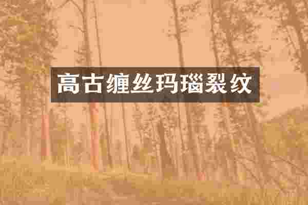 高古缠丝玛瑙裂纹