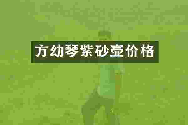 方幼琴紫砂壶价格