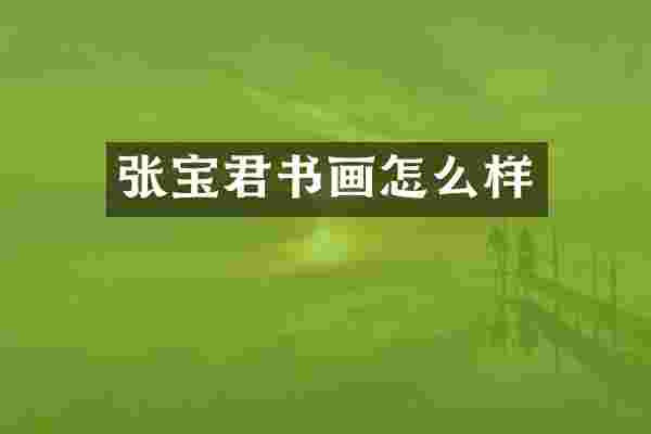 张宝君书画怎么样