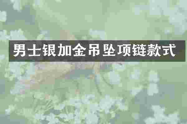 男士银加金吊坠项链款式