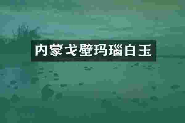 内蒙戈壁玛瑙白玉