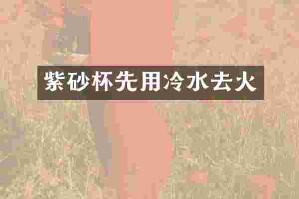 紫砂杯先用冷水去火