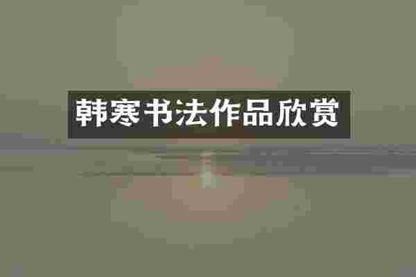 韩寒书法作品欣赏