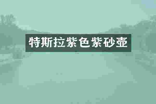 特斯拉紫色紫砂壶