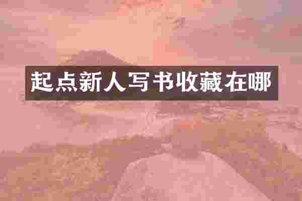 起点新人写书收藏在哪