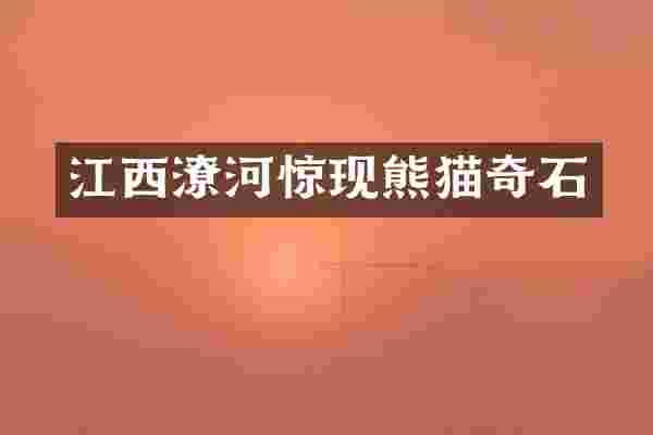 江西潦河惊现熊猫奇石