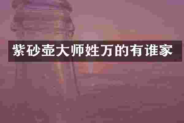 紫砂壶大师姓万的有谁家