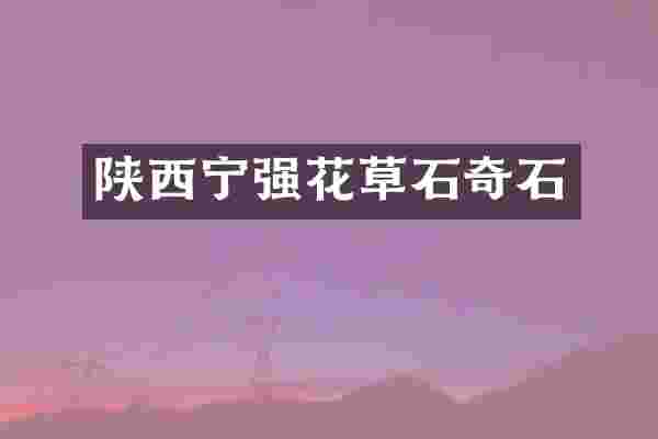 陕西宁强花草石奇石