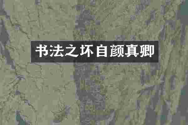 书法之坏自颜真卿