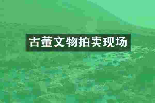 古董文物拍卖现场