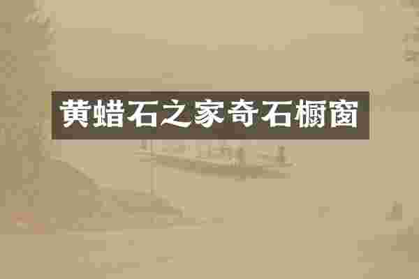 黄蜡石之家奇石橱窗