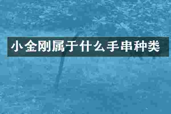 小金刚属于什么手串种类