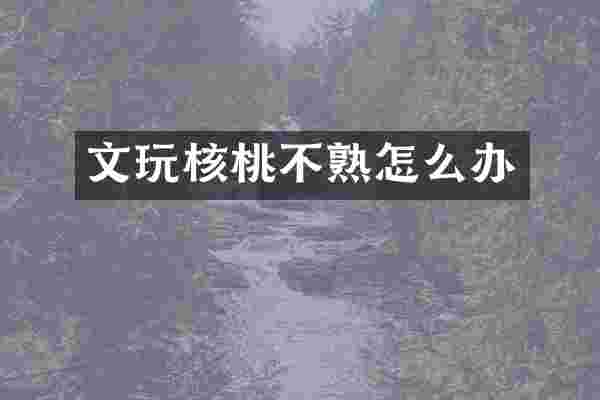文玩核桃不熟怎么办