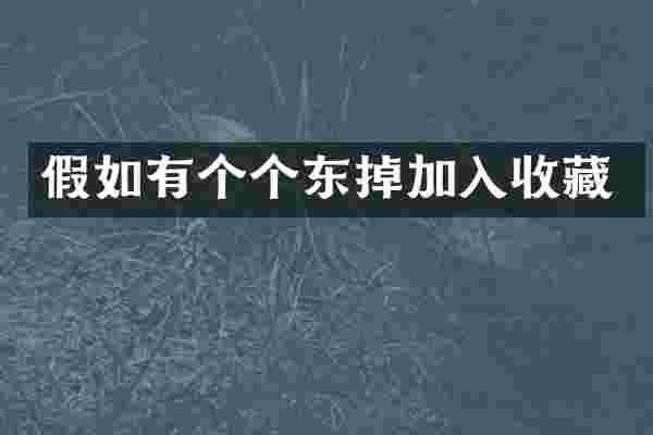 假如有个个东掉加入收藏