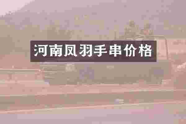 河南凤羽手串价格