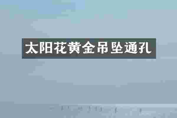 太阳花黄金吊坠通孔