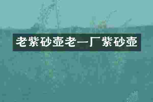 老紫砂壶老一厂紫砂壶