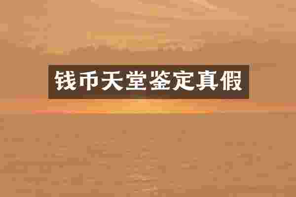钱币天堂鉴定真假