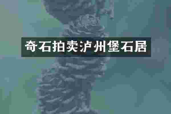 奇石拍卖泸州堡石居
