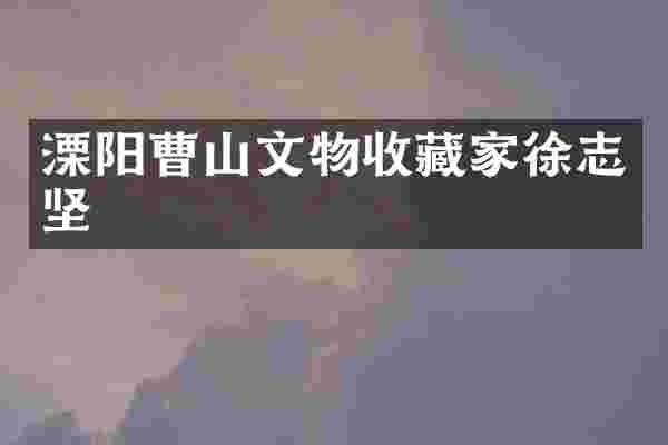 溧阳曹山文物收藏家徐志坚
