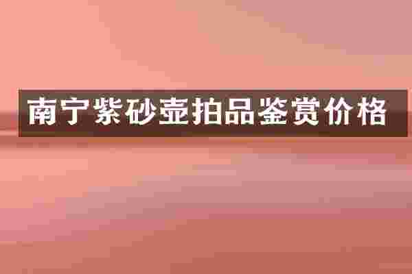 南宁紫砂壶拍品鉴赏价格