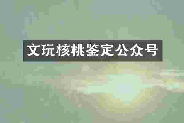 文玩核桃鉴定公众号